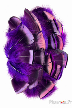Dindon bronze - 5-15 cm - aubergine